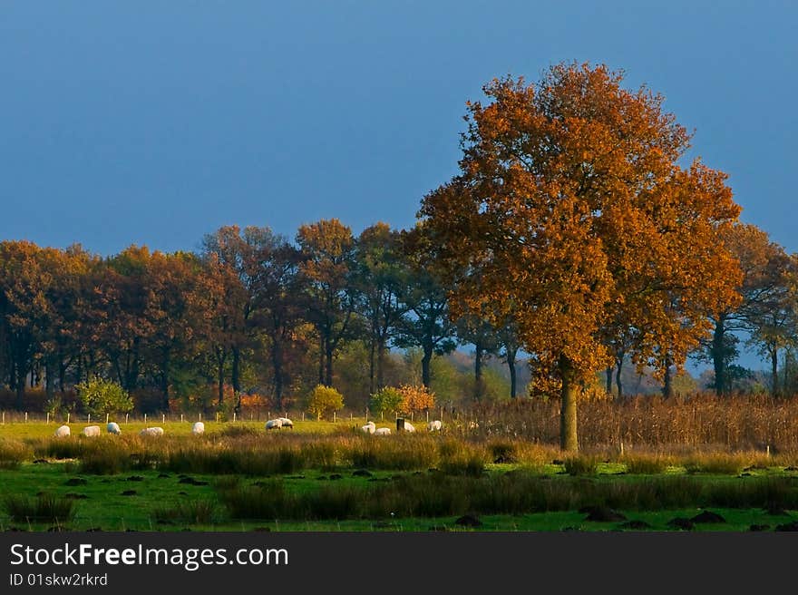 Landscape of a farmland with colorful autumn trees