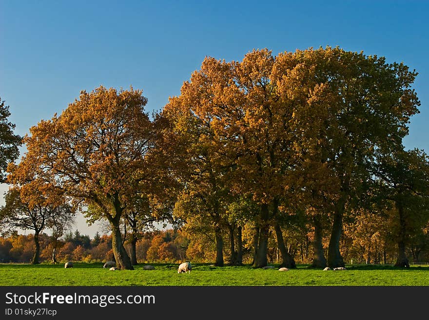 Landscape of a farmland with colorful autumn trees