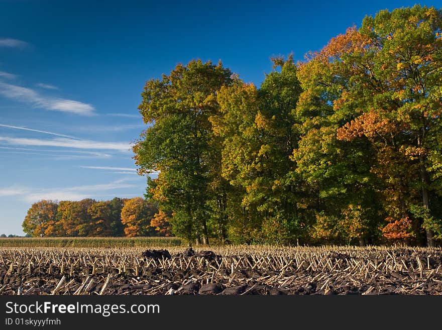 Landscape Of A Farmland With Colorful Autumn Trees