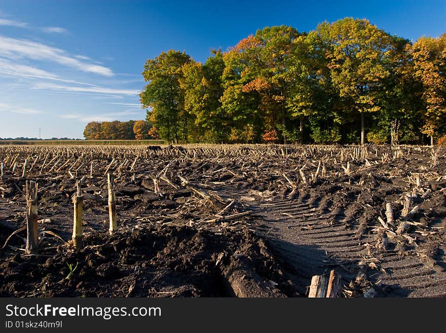 Landscape of a farmland with colorful autumn trees