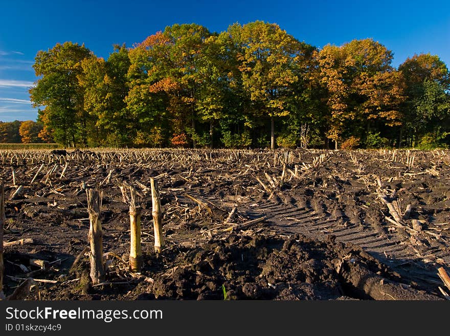 Landscape Of A Farmland With Colorful Autumn Trees