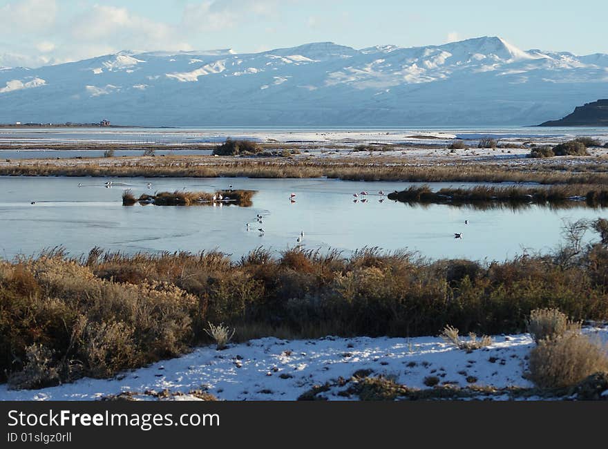 Lake In Winter