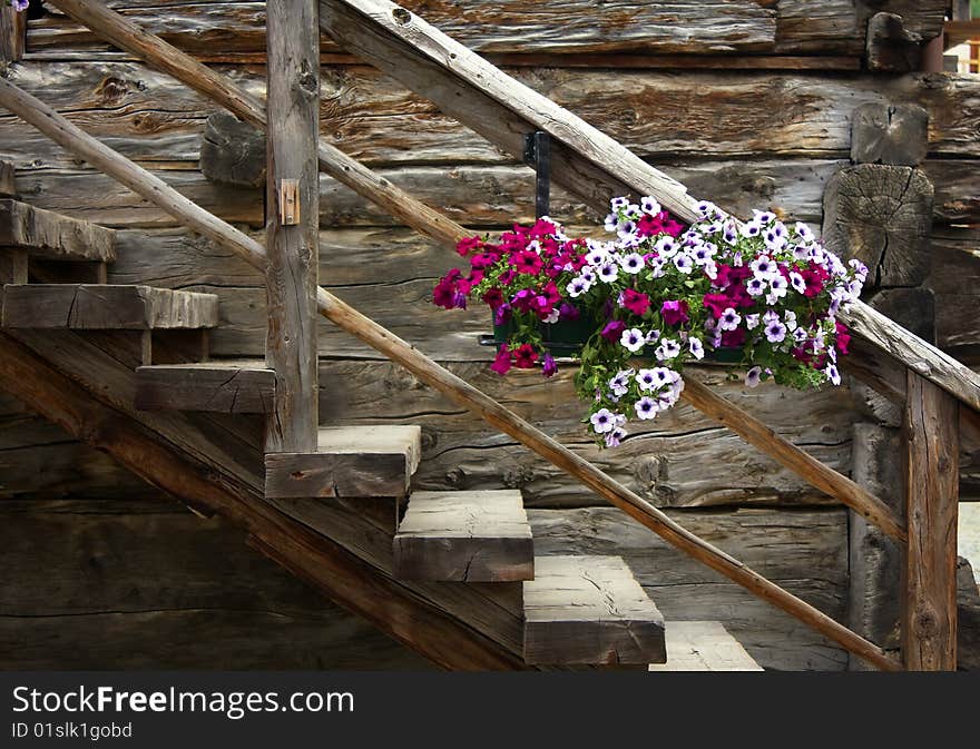 Old wooden staircase with flowers. Old wooden staircase with flowers