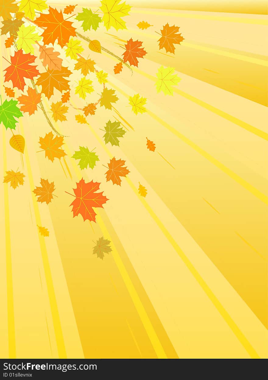 Vector autumn leaves background yellow