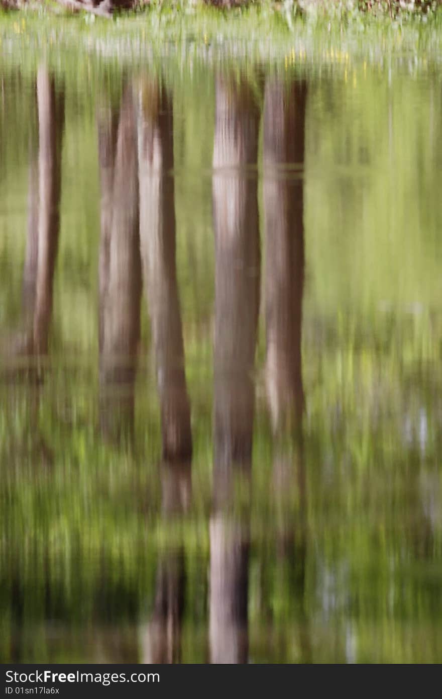 Tree reflections in the small forest lake. Tree reflections in the small forest lake.