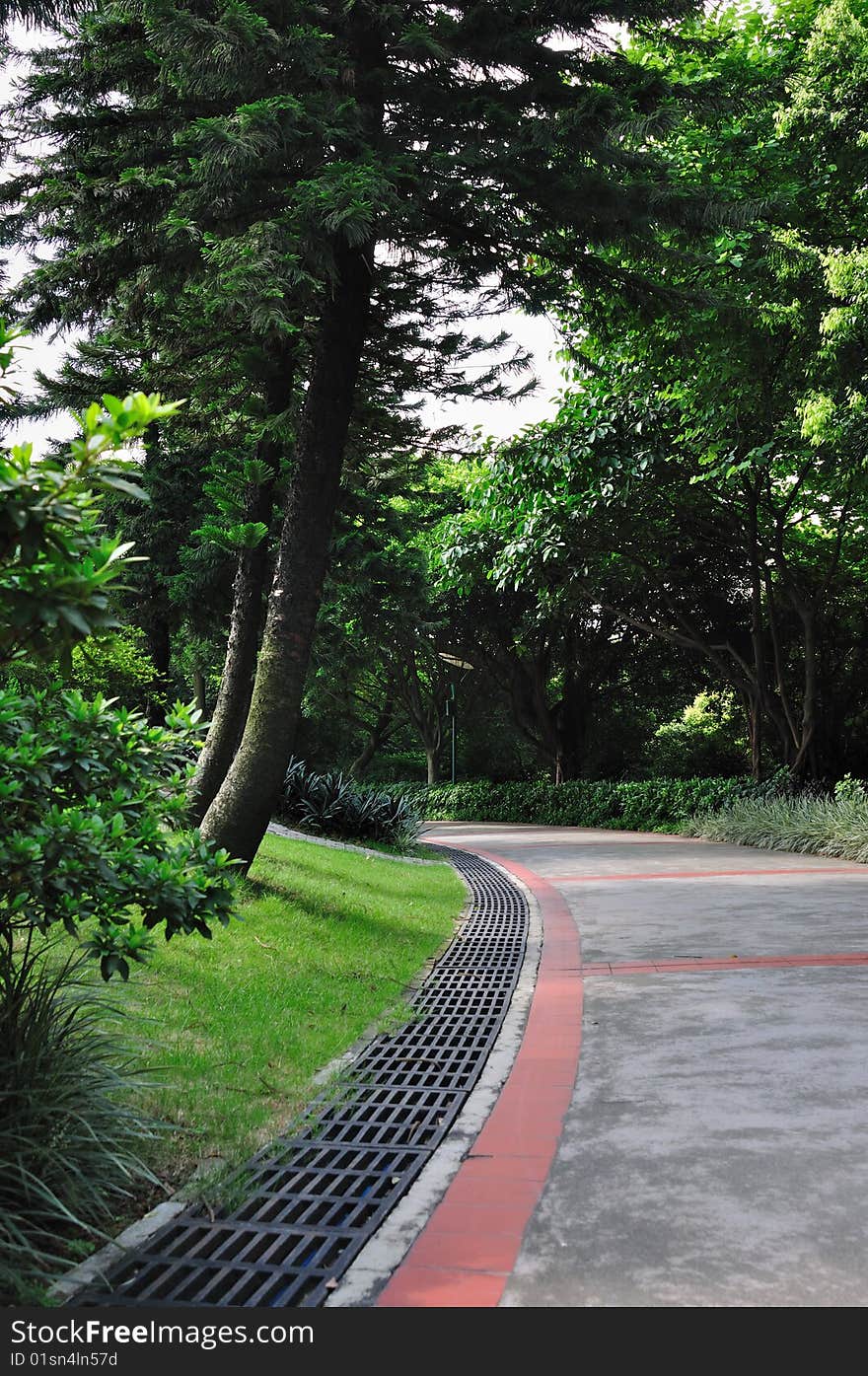 Path made of concrete with red line, in garden around green tree and grass, and beautiful shadow, Guangzhou, Southen China. Path made of concrete with red line, in garden around green tree and grass, and beautiful shadow, Guangzhou, Southen China.