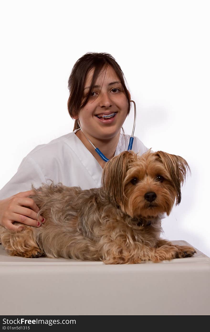 Young Hispanic girl in braces examing a Yorkshire Terrier Dog over white smiling. Young Hispanic girl in braces examing a Yorkshire Terrier Dog over white smiling