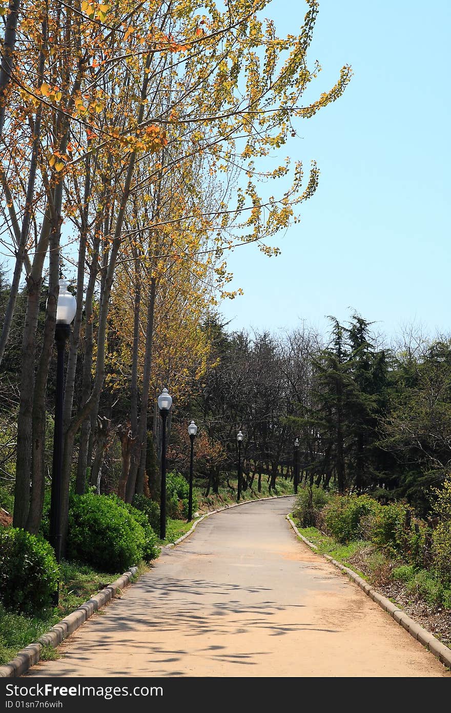 Quiet alley in Park