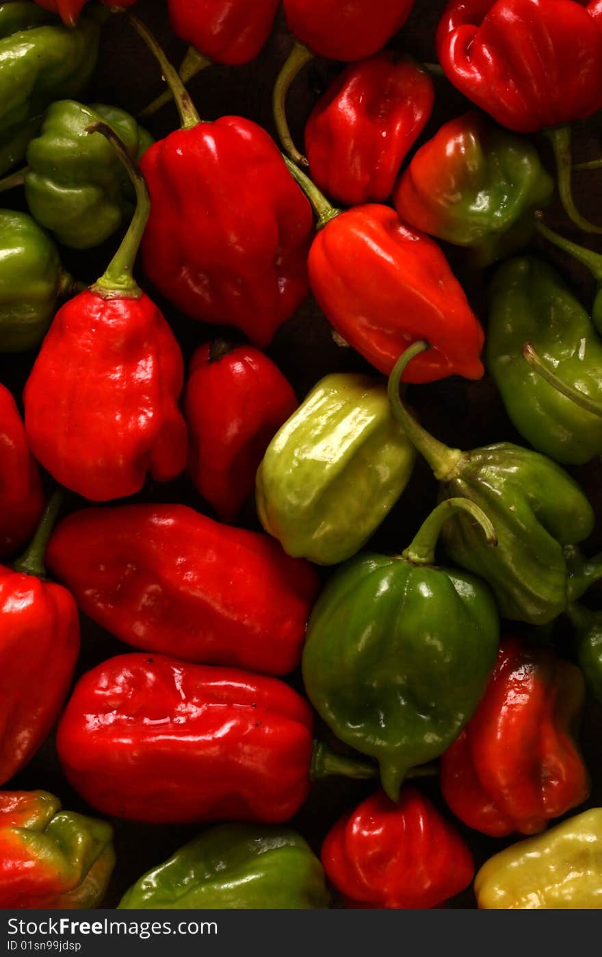 Close up of red and green Chili