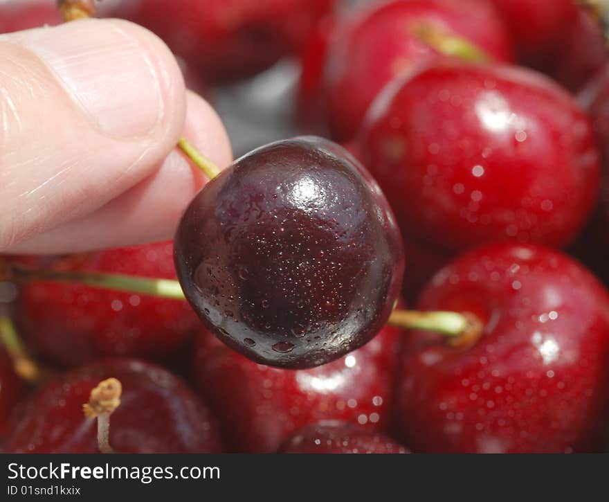 Close-up of male fingers holding ripe cherry