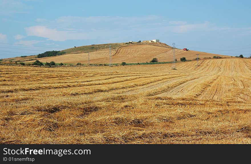 After The Harvest