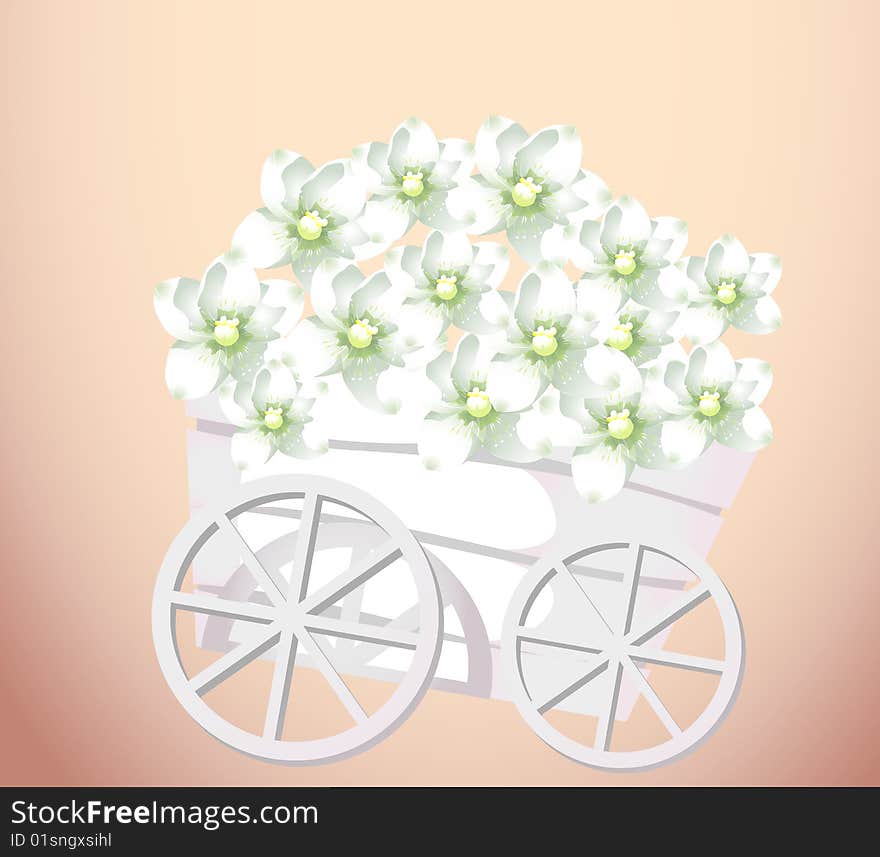 Pushcart 	loaded with a group of white flower. Pushcart 	loaded with a group of white flower