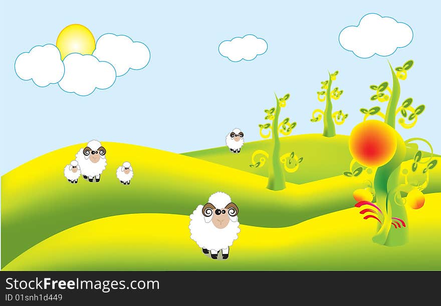 Colony sheep