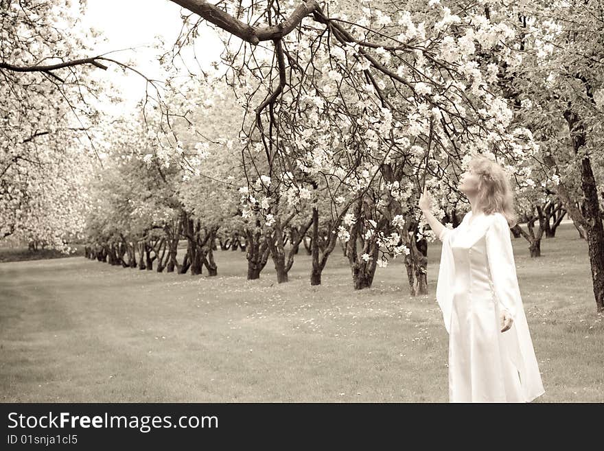 Tne blonde girl in white dress and apple-tree with white flowers. Tne blonde girl in white dress and apple-tree with white flowers