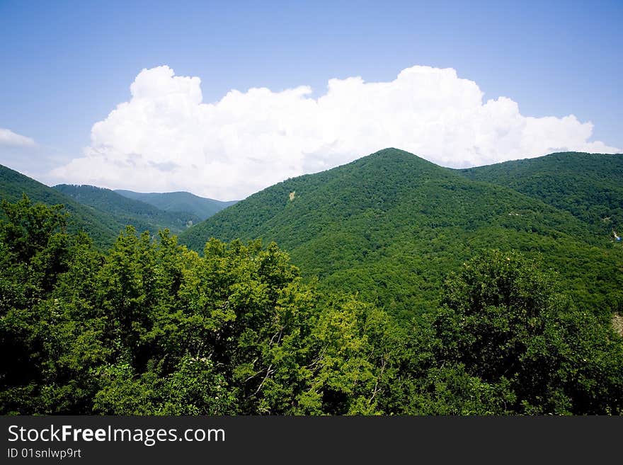 Beautiful mountain view with trees. Beautiful mountain view with trees