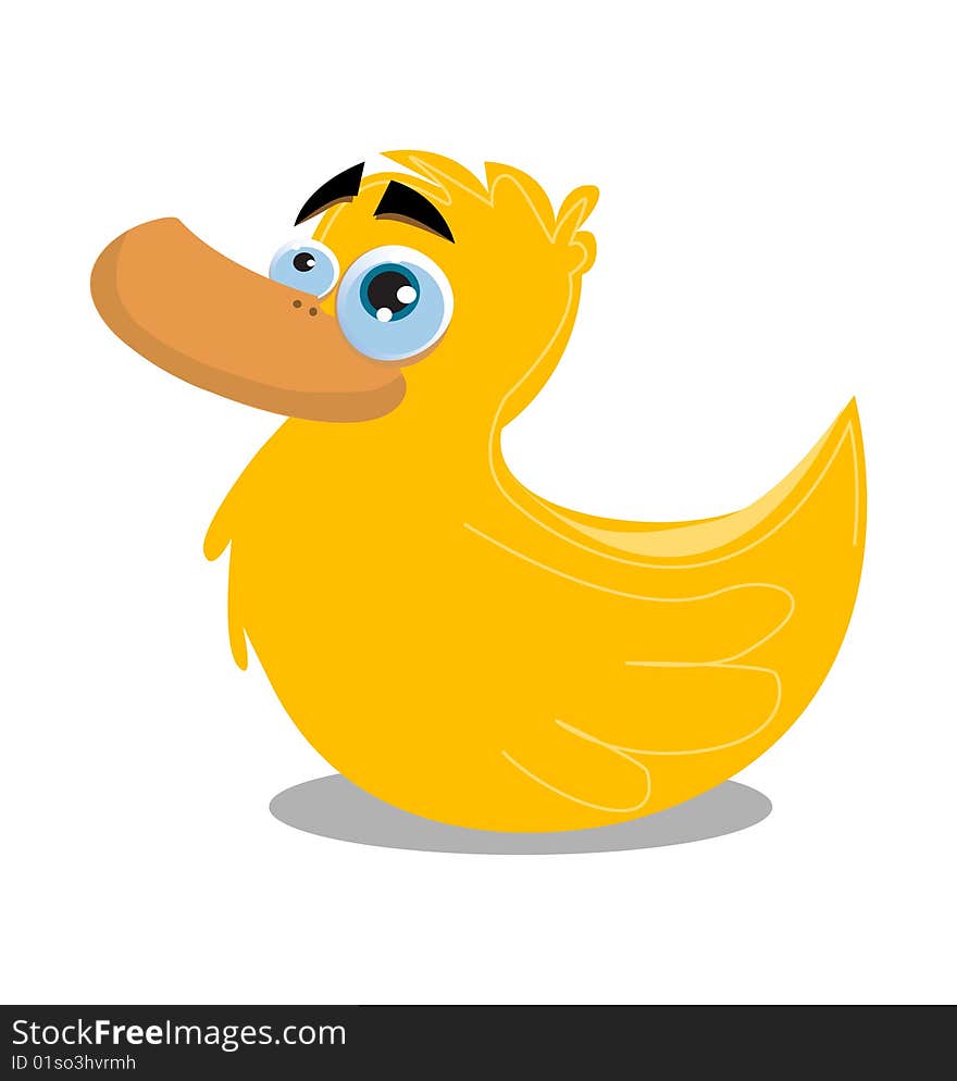 Duck