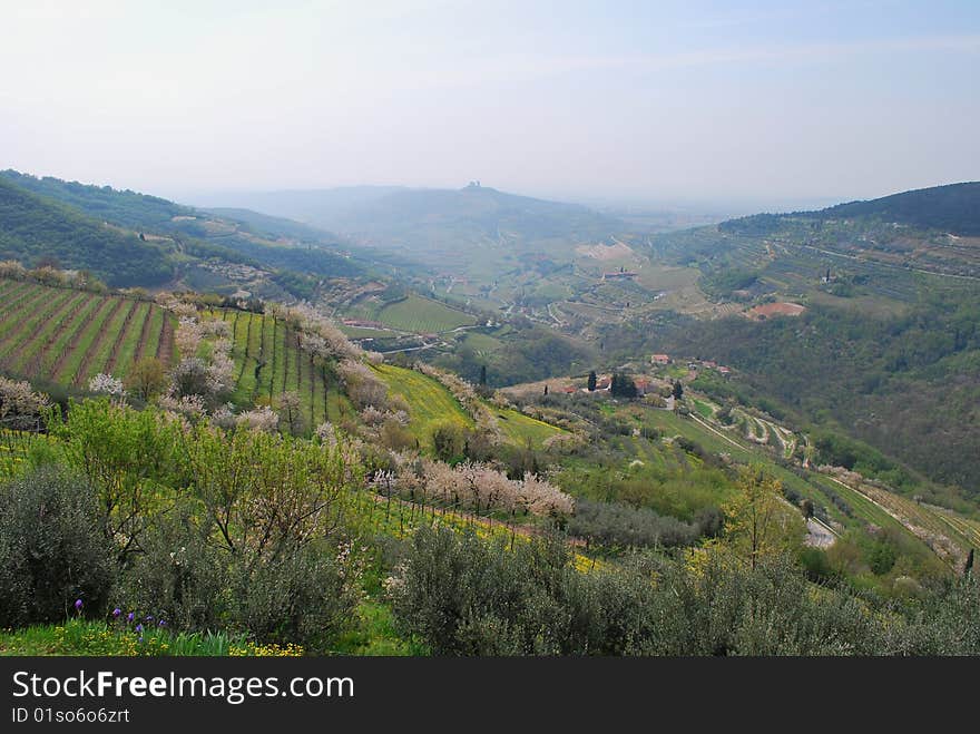 Hills. A spring landscape.