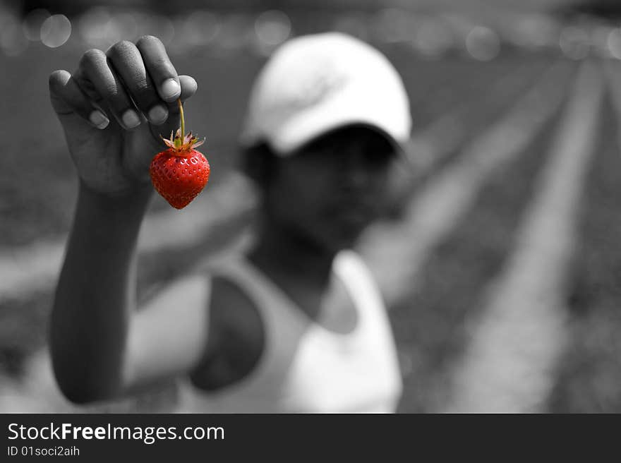 Bw Incognito holding a color strawberry. Bw Incognito holding a color strawberry