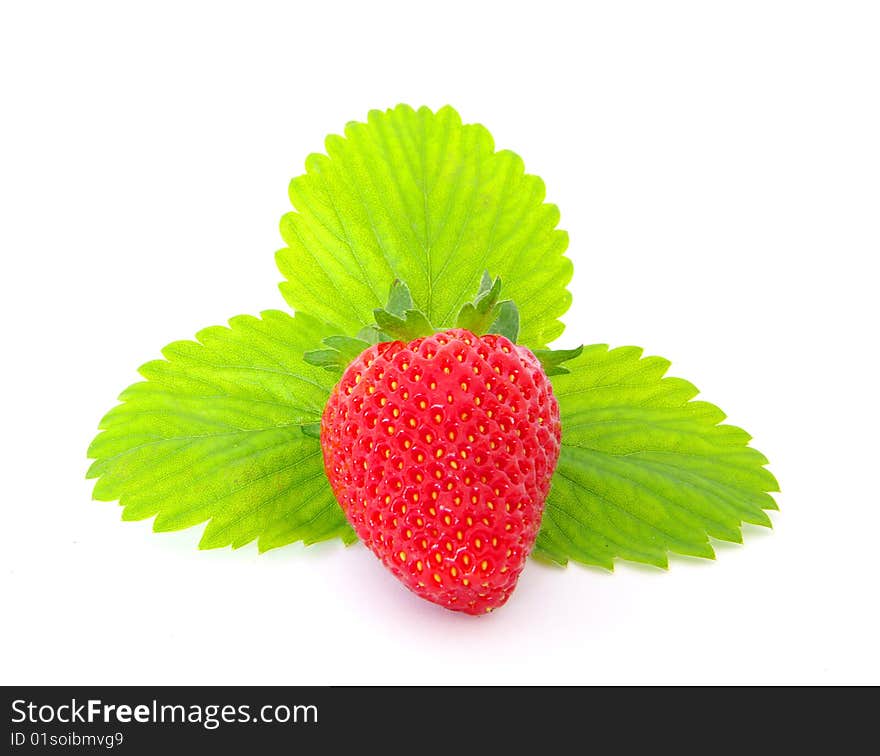 Fresh and juicy strawberry isolated on white