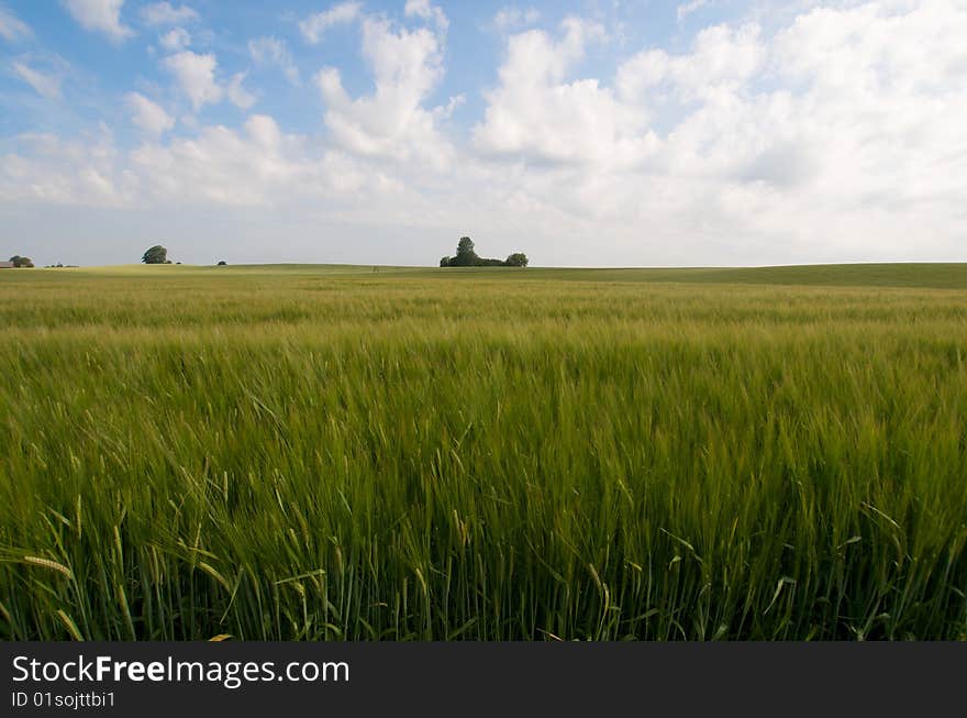 Farm Landscape