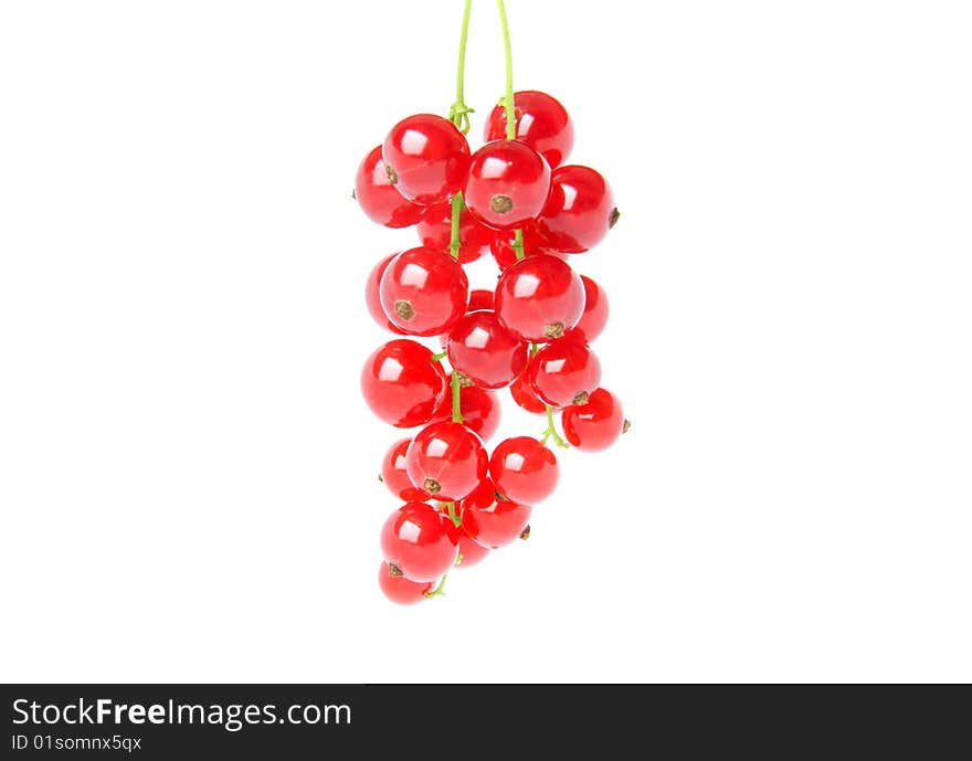 The bunch of red currant on white background