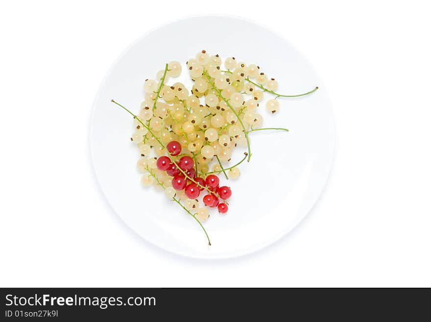 Red and white currant on the plate