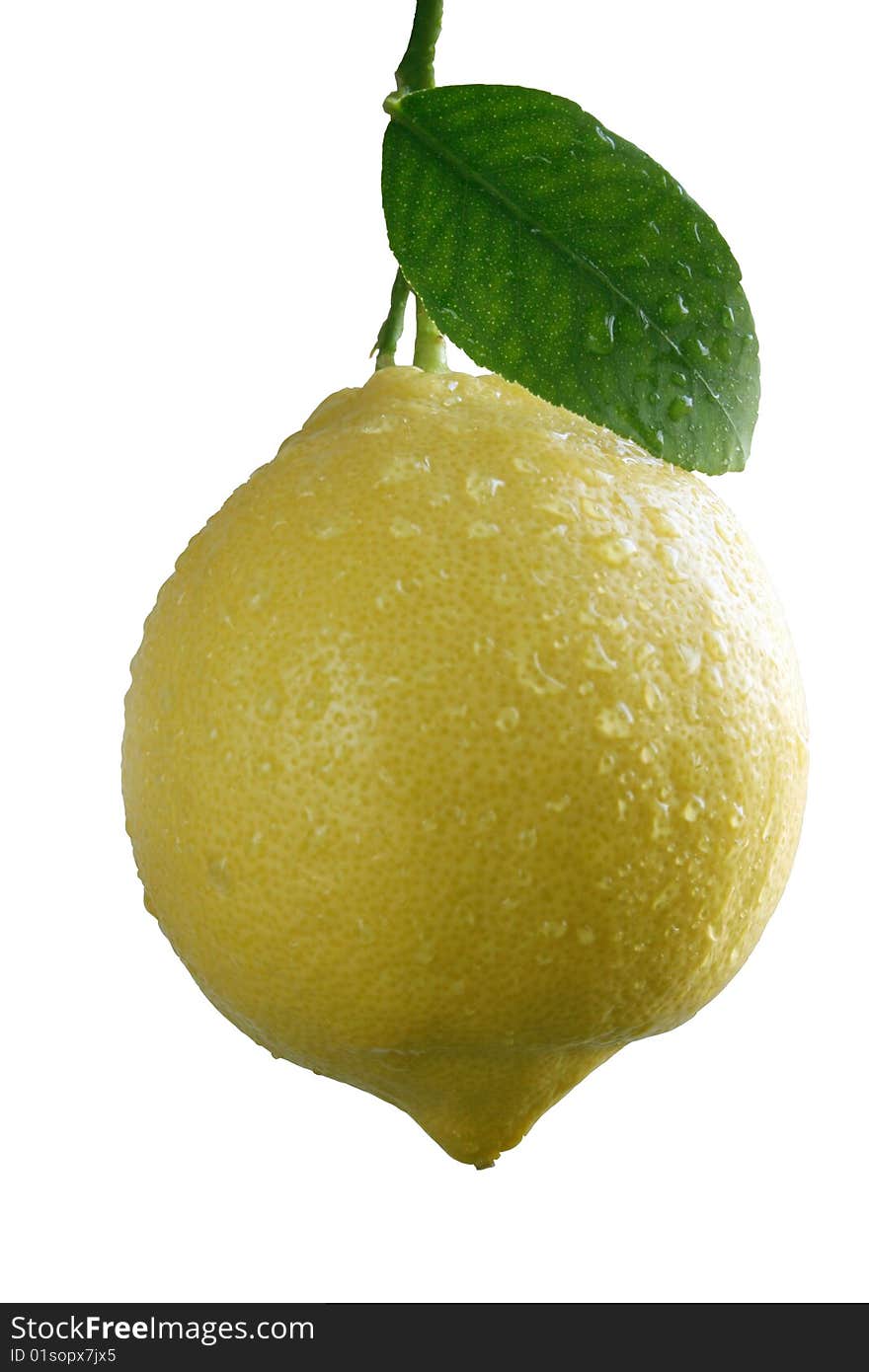 Fresh Lemon With A Leaf