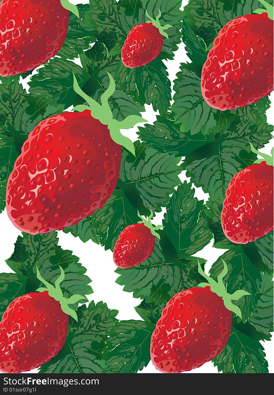 Vector background, and a ripe strawberry on green leaves