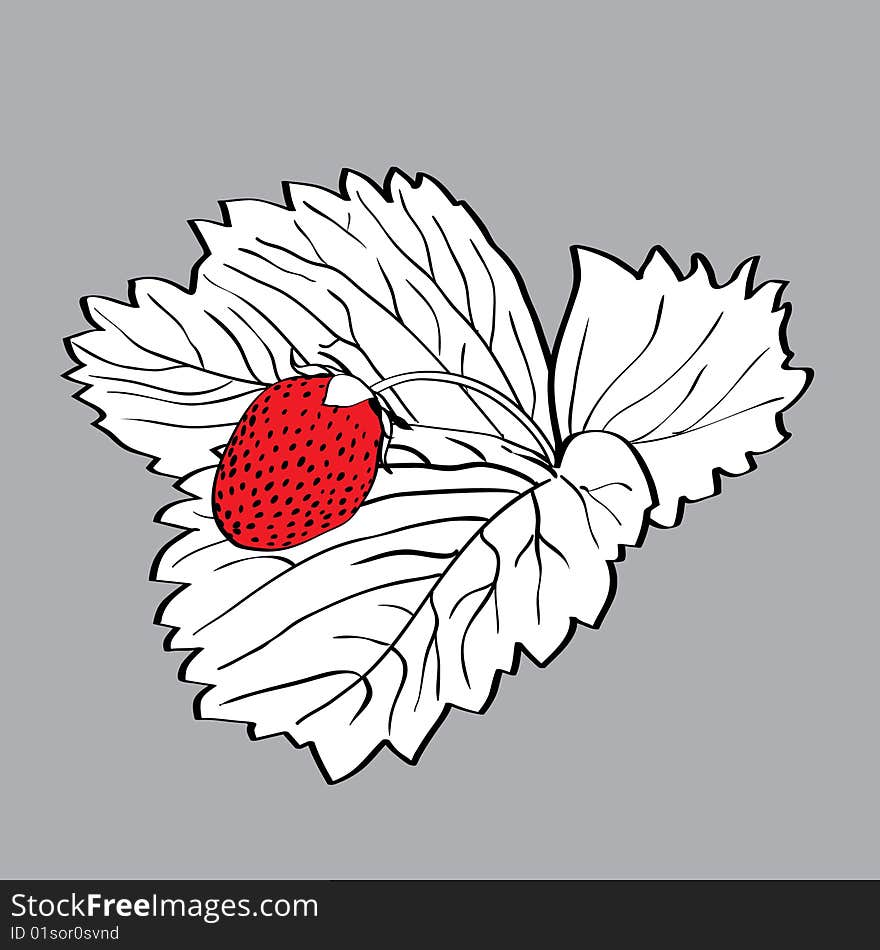 Drawing of the stylised strawberry