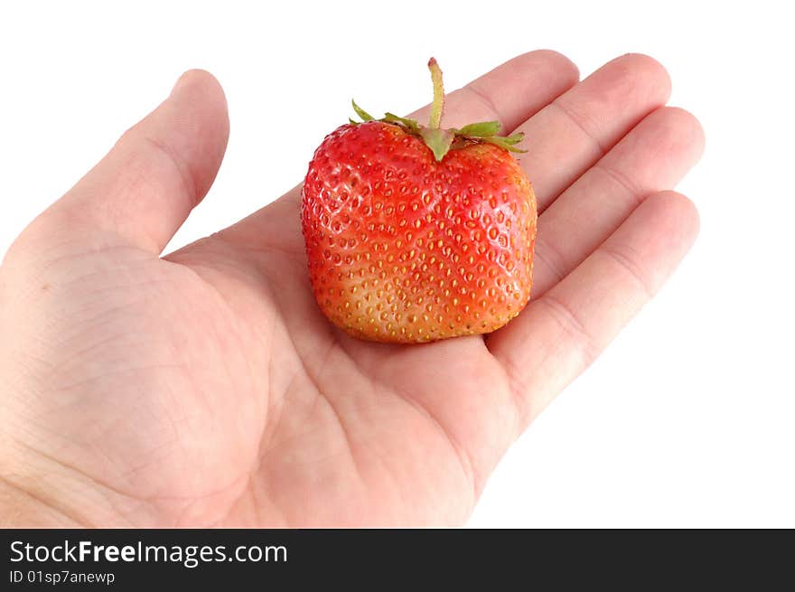 Red strawberry in a hand on a white background