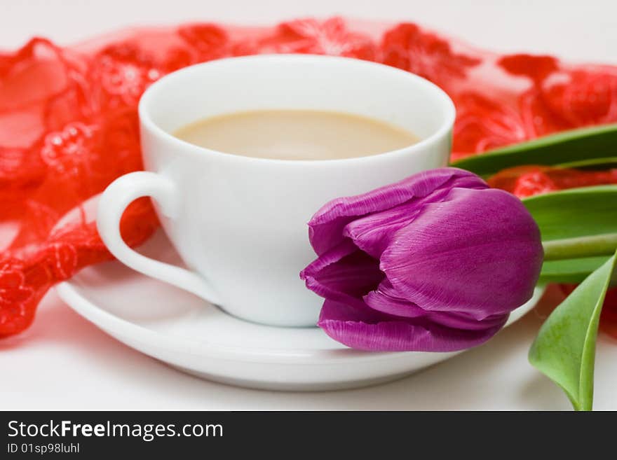 White cup of coffee with violet tulip