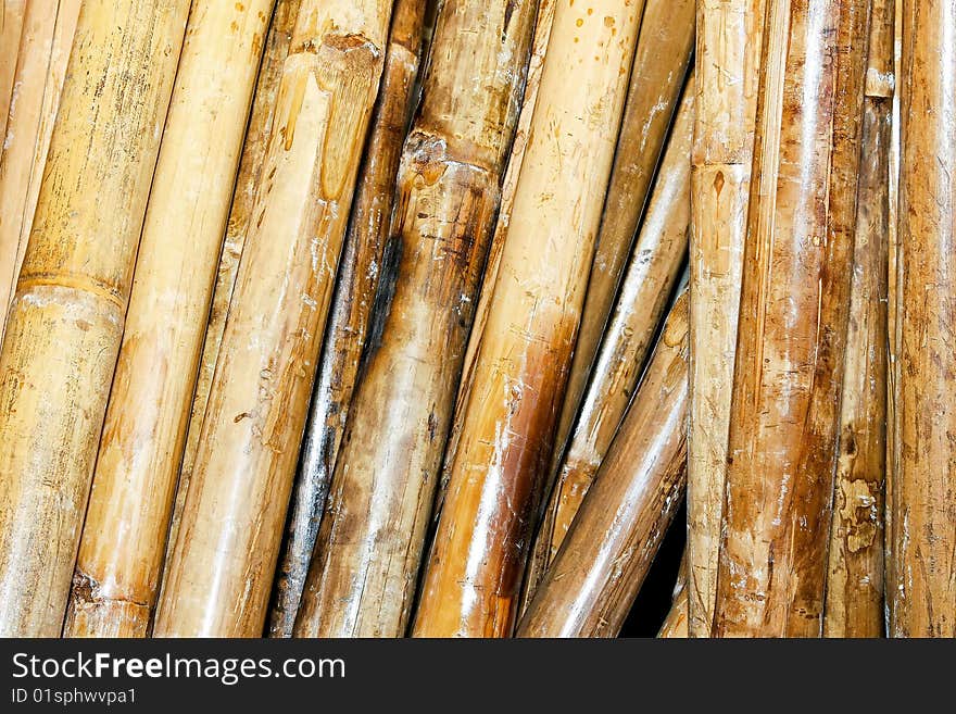 Bamboo Cane