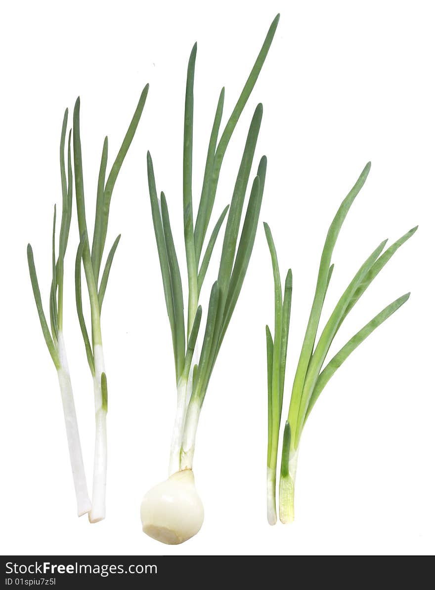 Spring onions on white background