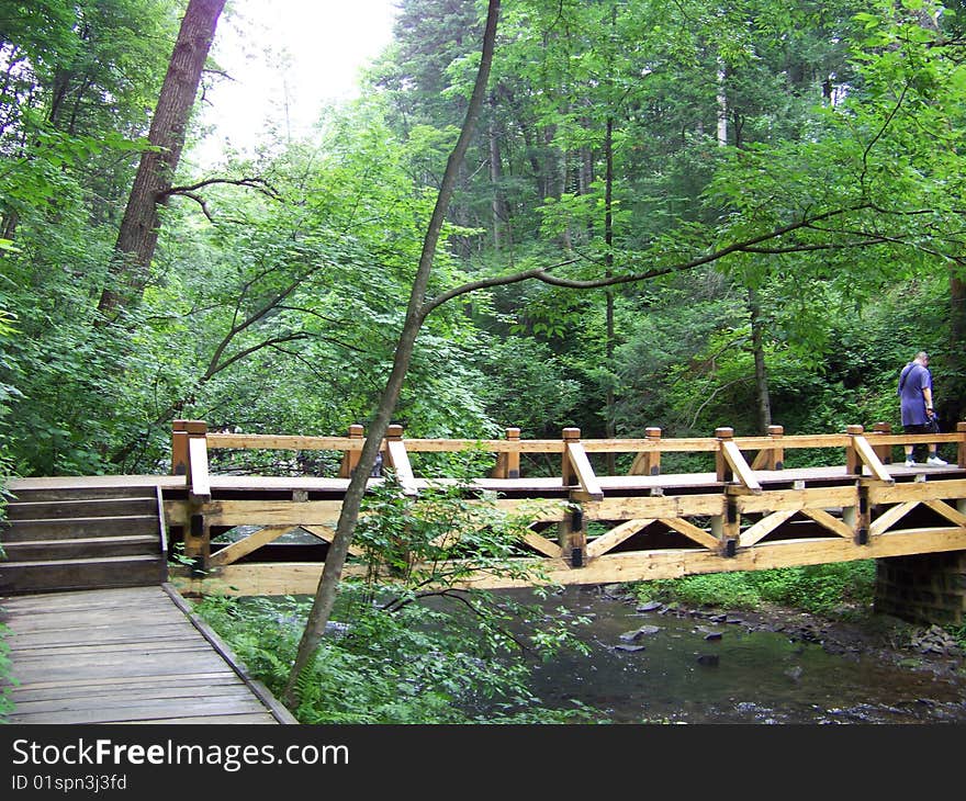 Wood bridge clear creek forest longwan park