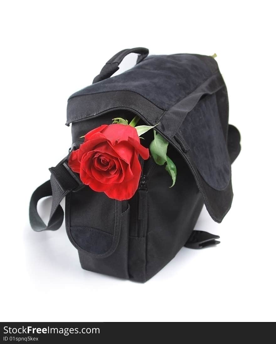 Rose in a black bag