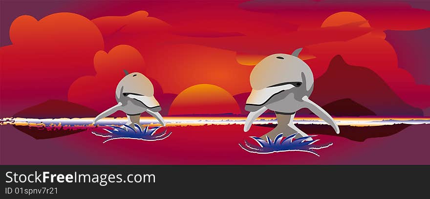 Sunset jumping dolphins