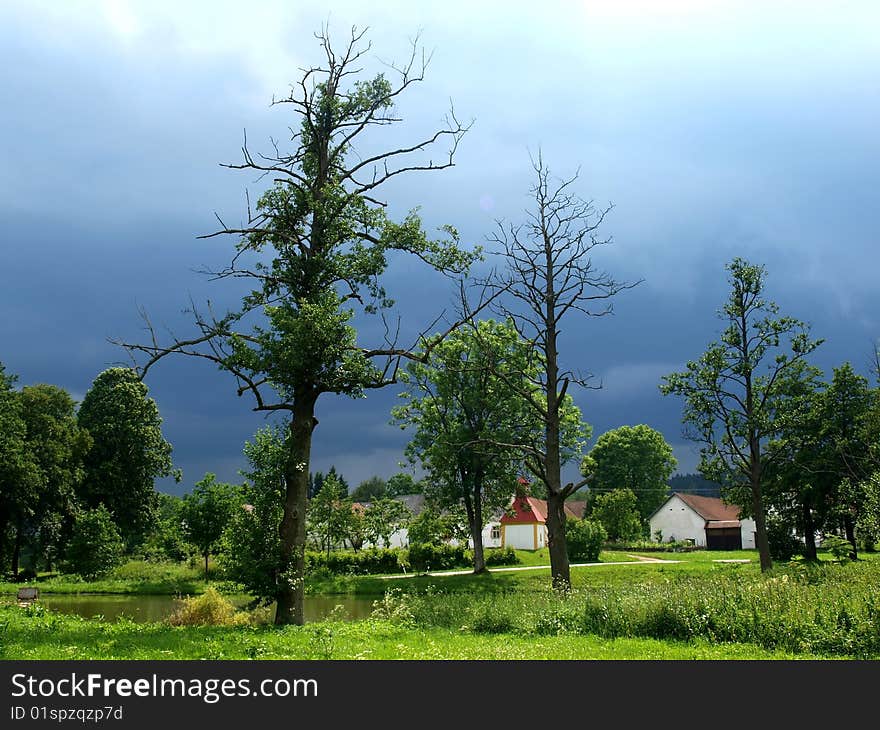 Old threes in the Czech village. Old threes in the Czech village