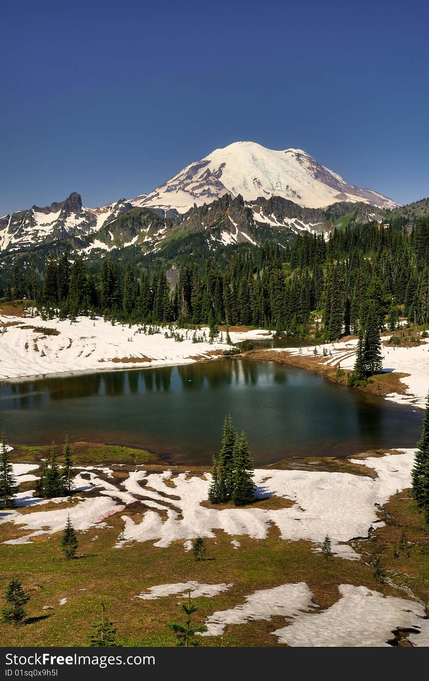 Mt Rainier Over Tipsoo Lake