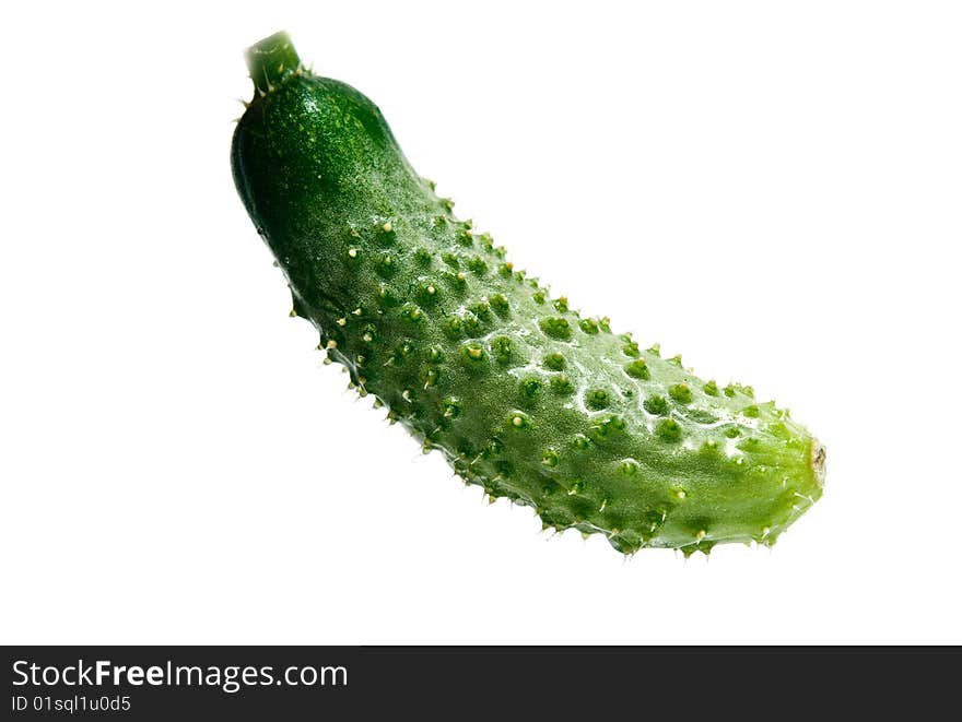 Fresh green cucumber on a white background