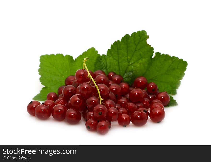 Red Garden-stuffs Of Currant