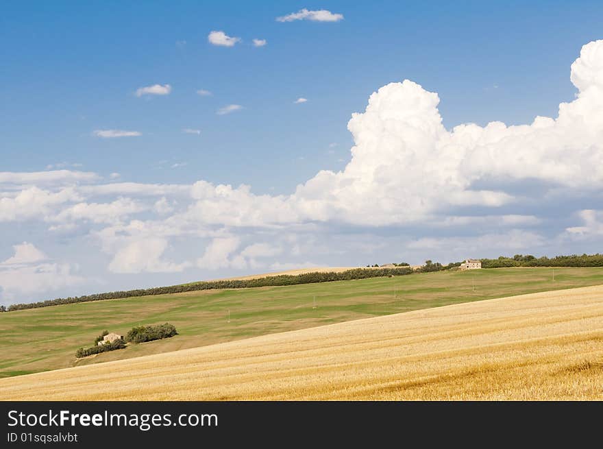 Light afternoon in tuscany hills