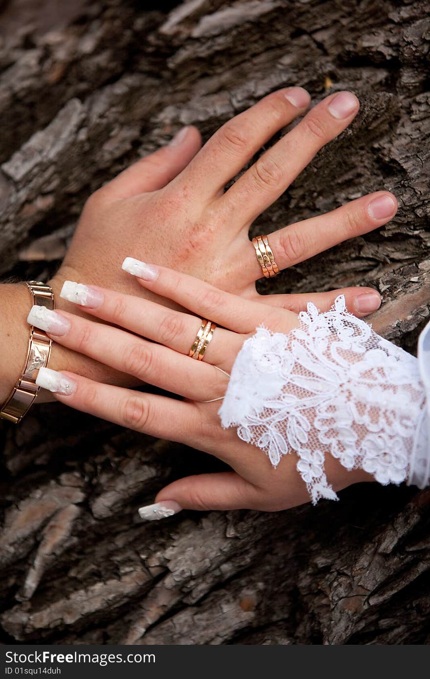 Woman and man hands on the wood tree