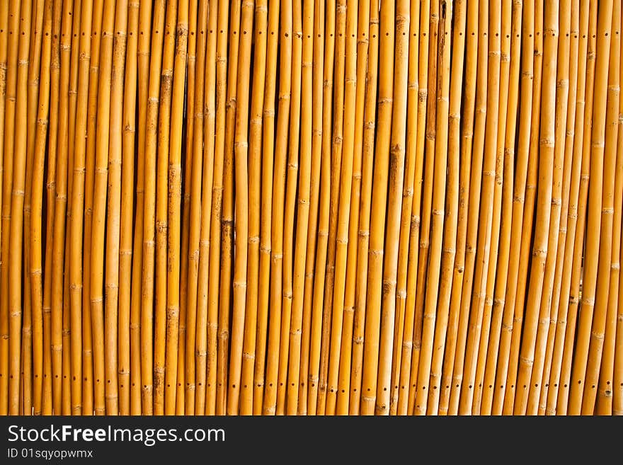 Tropical bamboo fence