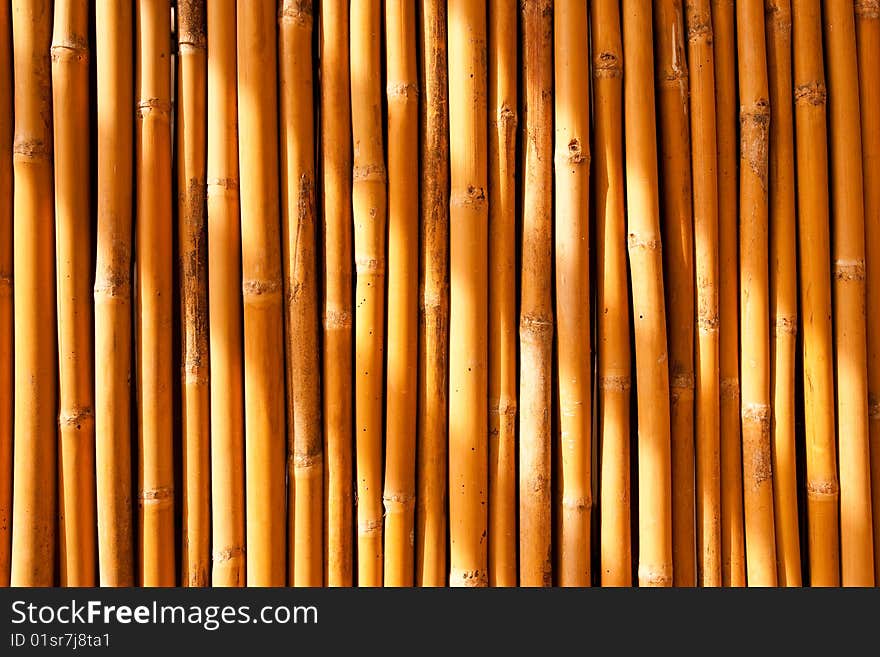 Colorfull tropical bamboo, fence of country house in Thailand. Colorfull tropical bamboo, fence of country house in Thailand