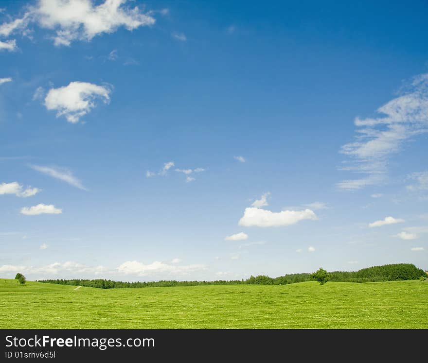 Landscape photo: field in sunny day