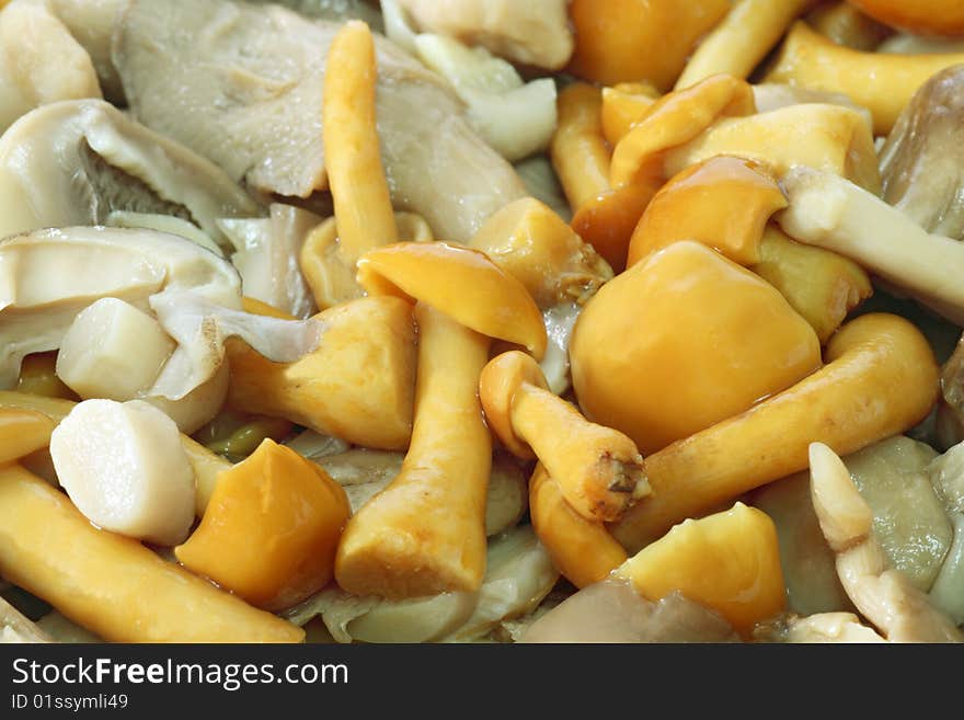 Variety mushrooms ready to be cooked