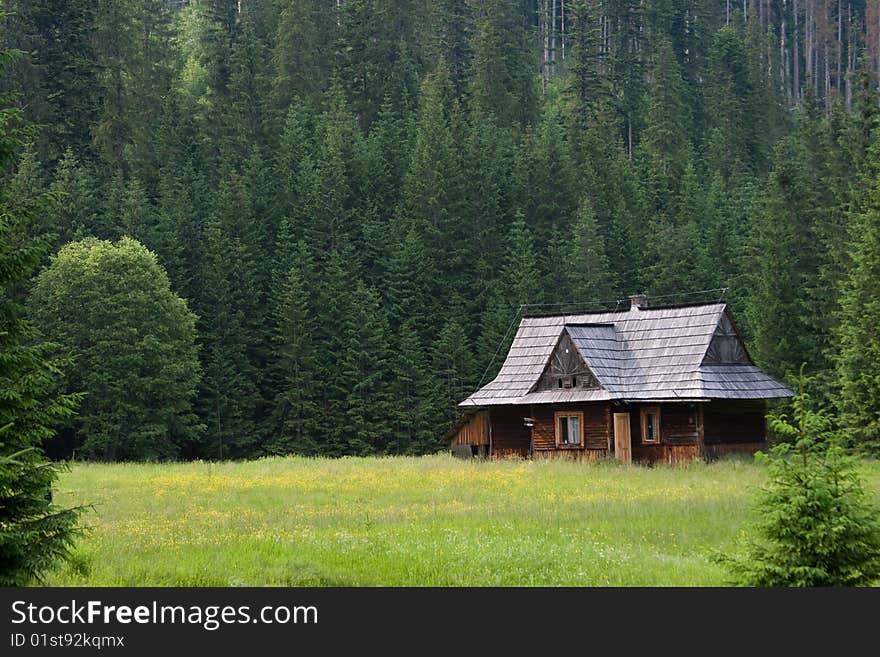 Neighbourhoods of Morskie Oko in The Tatra National Park. Neighbourhoods of Morskie Oko in The Tatra National Park.