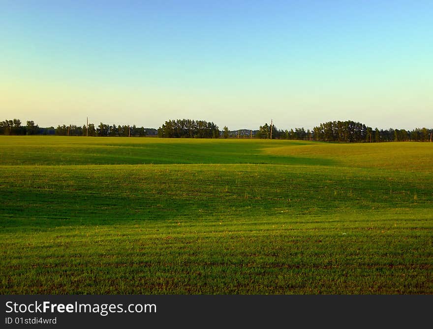 Relief lawn at the evening with shadows and forest far on the horizon. Relief lawn at the evening with shadows and forest far on the horizon