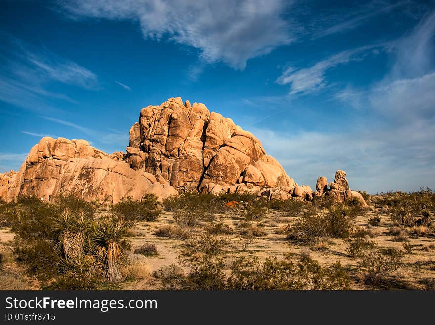 A rock climbers dream at Joshua Tree National Park.