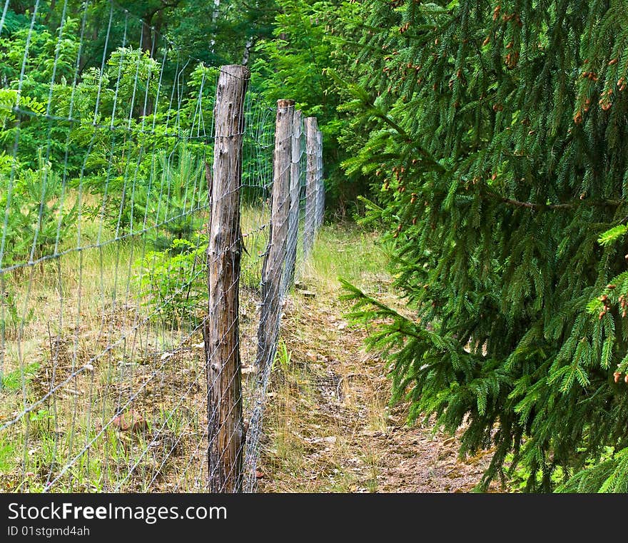 Fence in wood for protection of animals